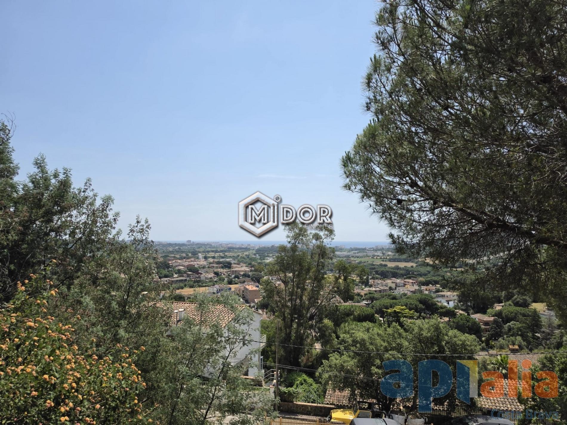 PLOT IN MAS AMBRÓS (CALONGE)