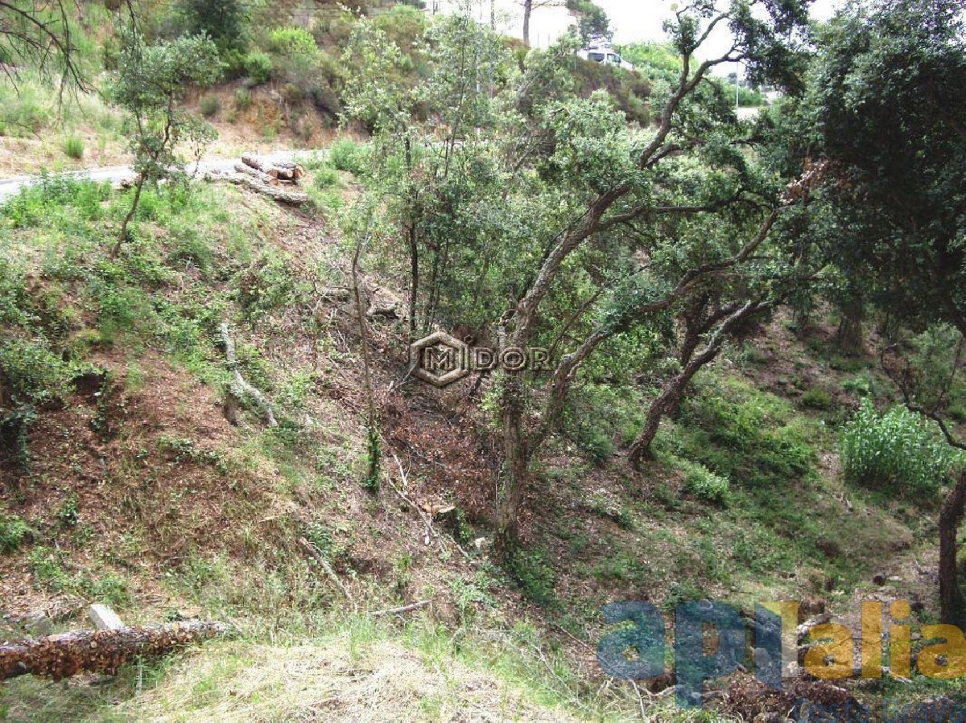 PARCEL.LA A URB. RIO DE ORO (CALONGE)