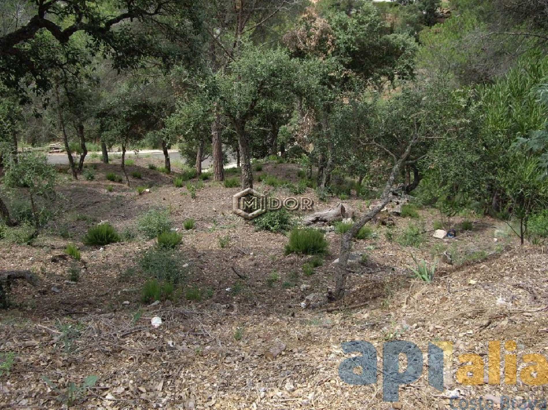 PARCEL.LA A URB. RIO DE ORO (CALONGE)