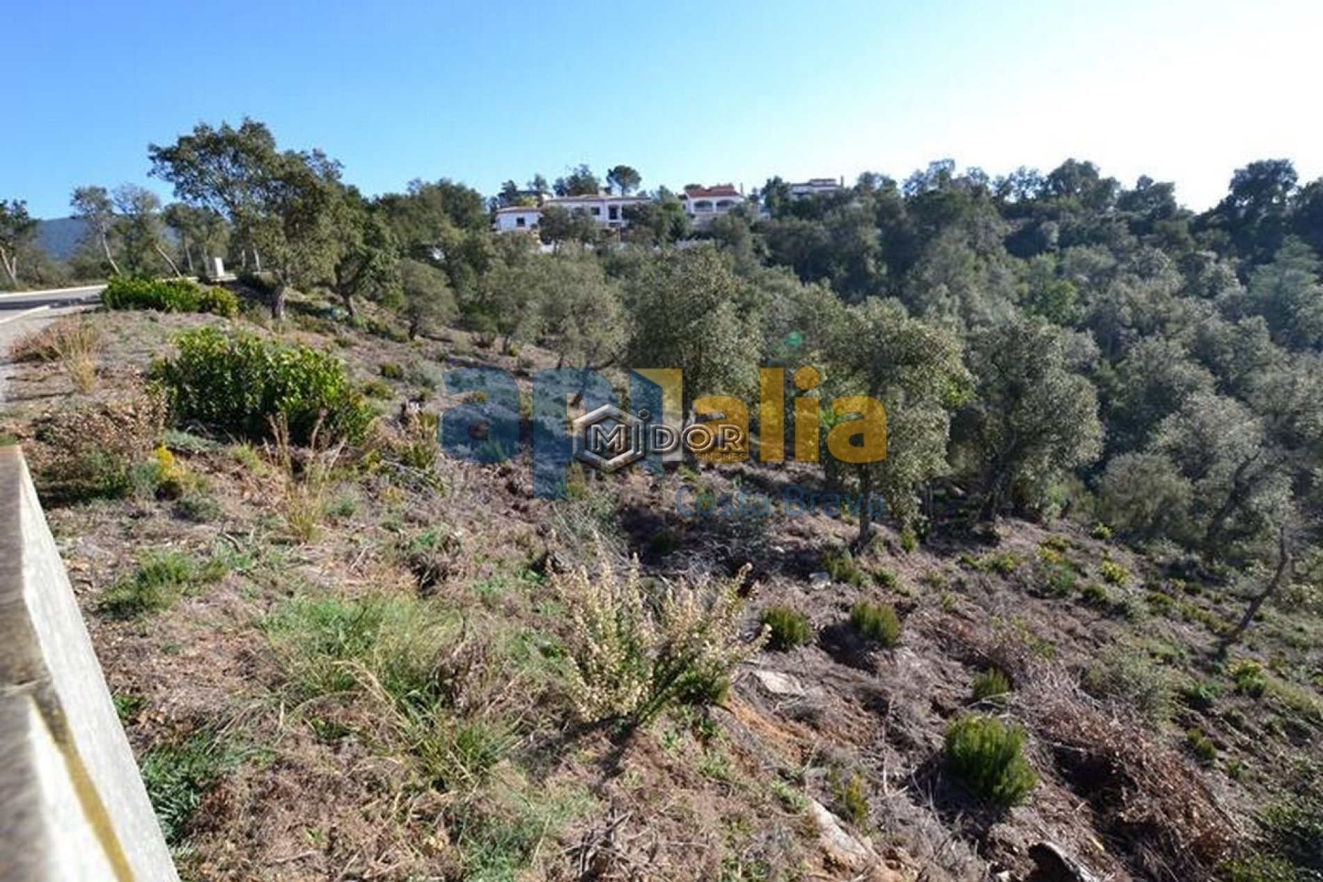 PARCEL.LA A URB. RIO DE ORO (CALONGE)