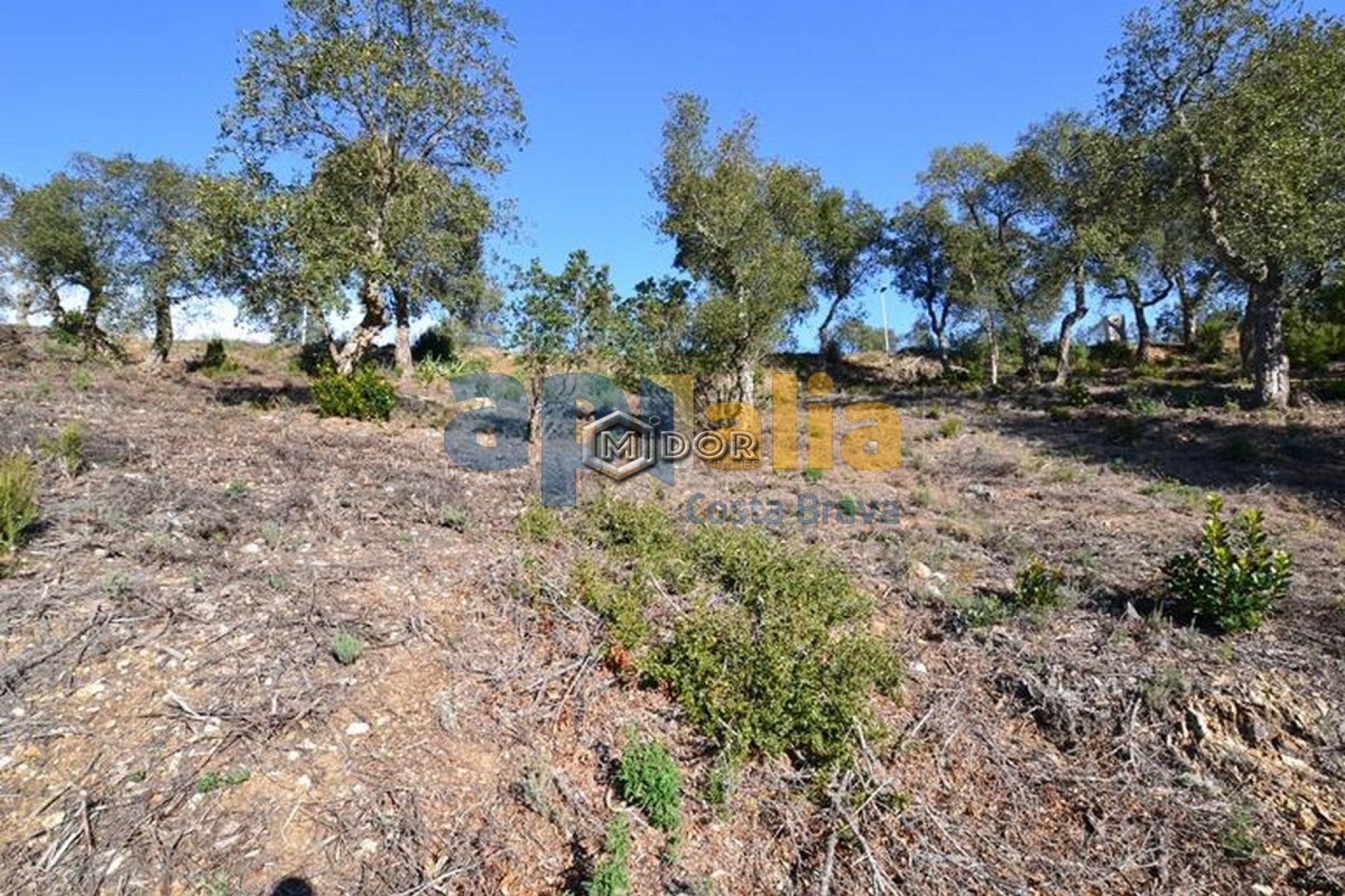 PARCEL.LA A URB. RIO DE ORO (CALONGE)