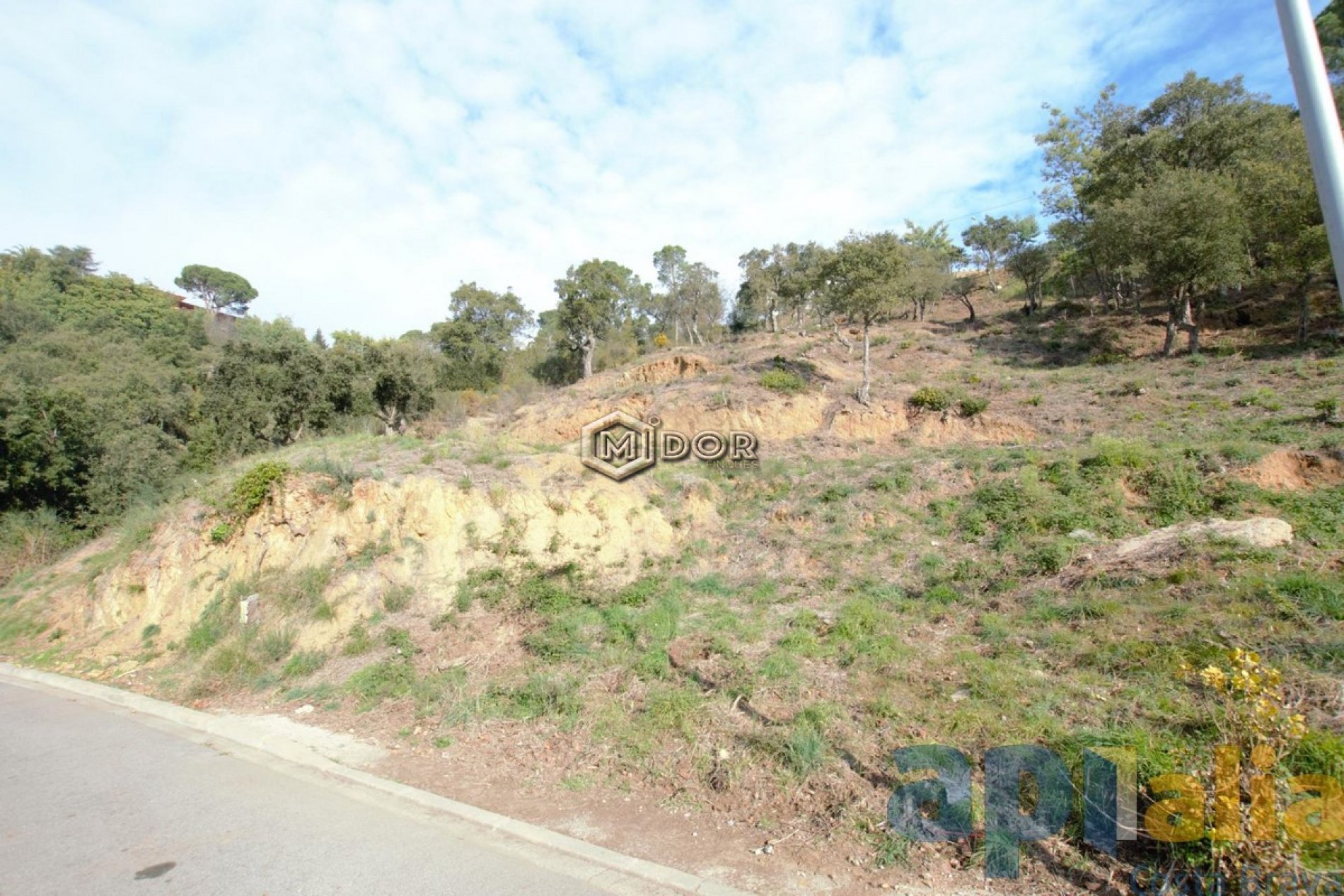PARCEL.LA A URB. RIO DE ORO (CALONGE)