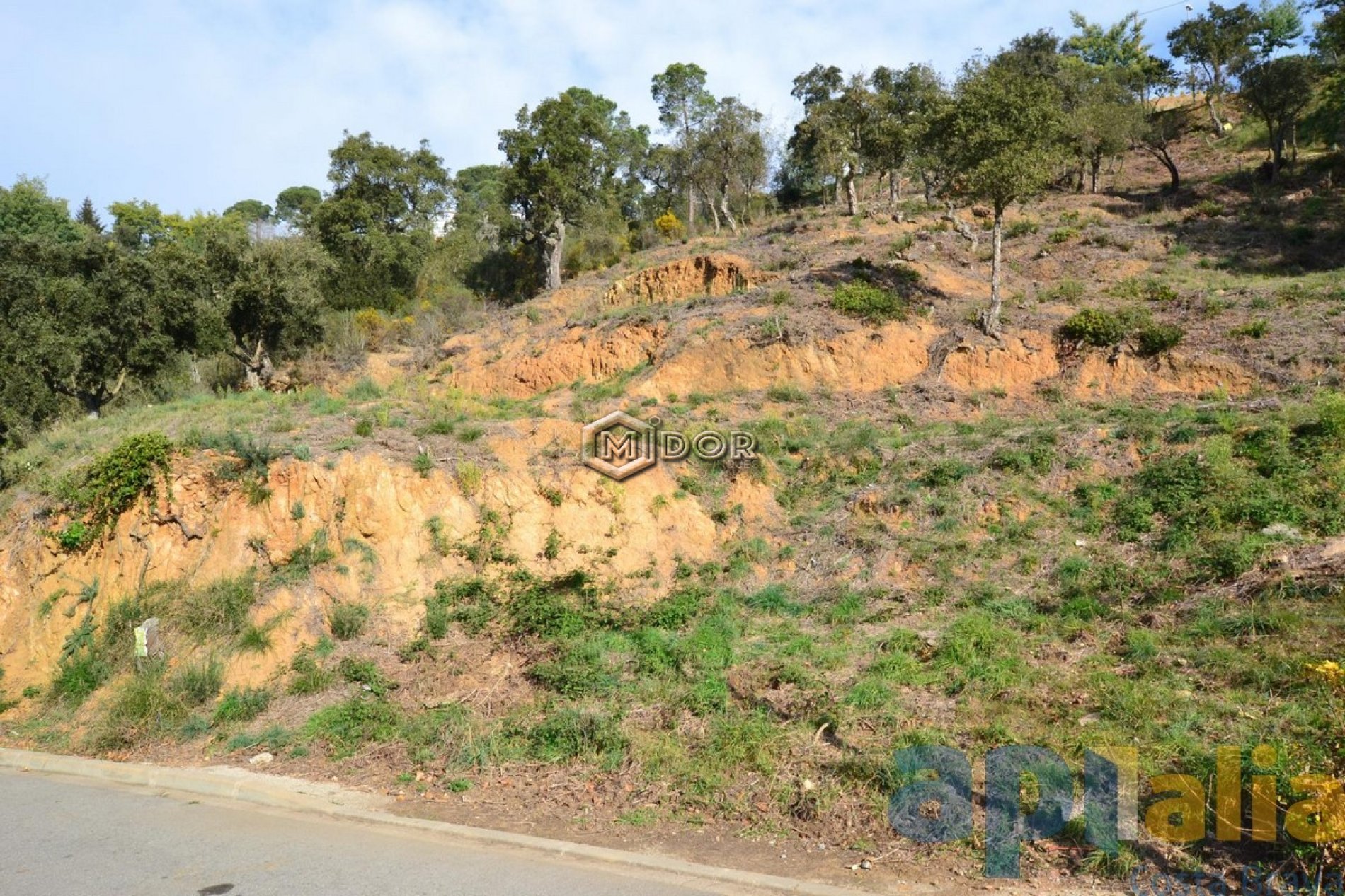 PARCEL.LA A URB. RIO DE ORO (CALONGE)
