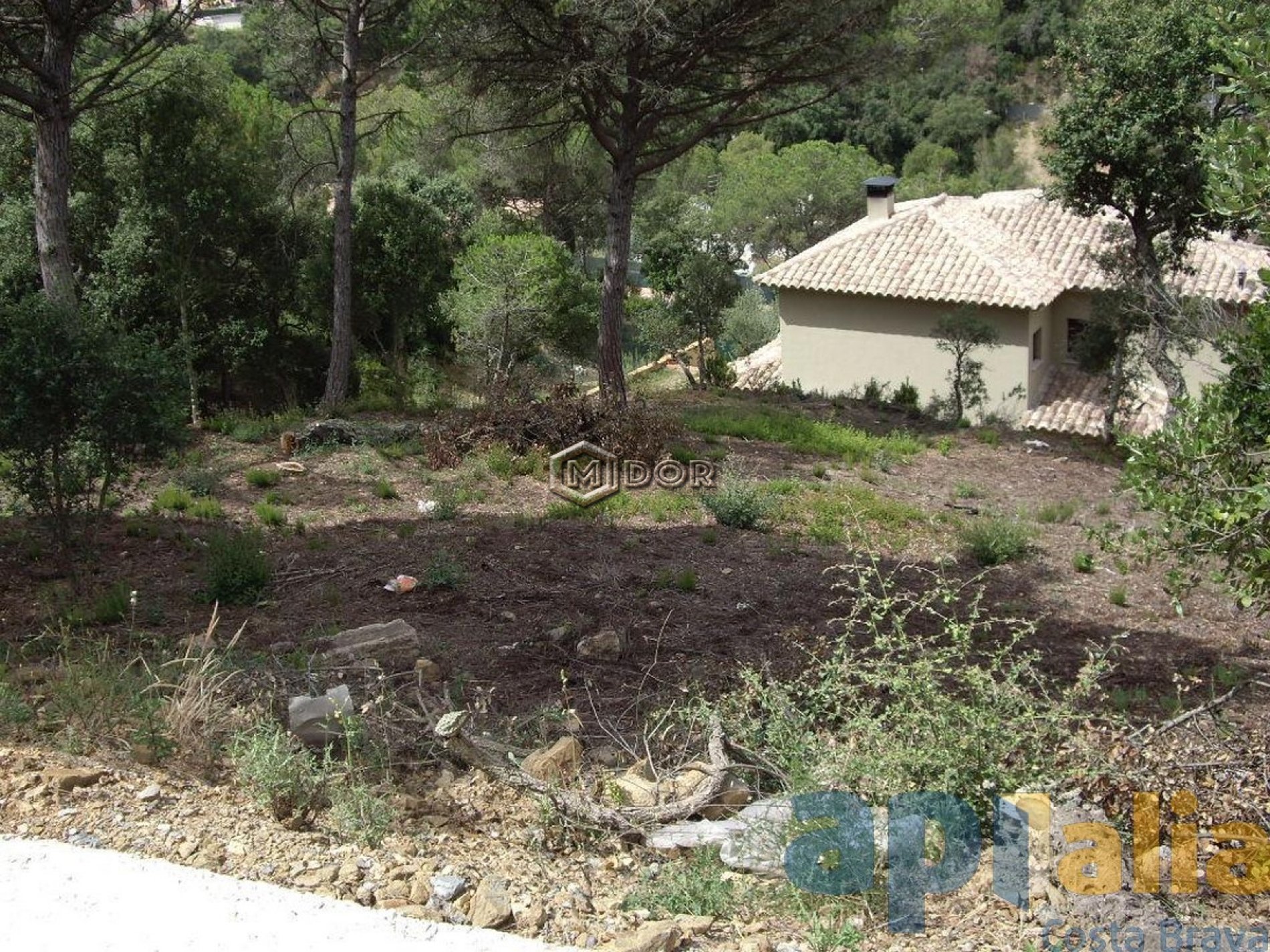Parcel·la amb vistes a Les Gavarres