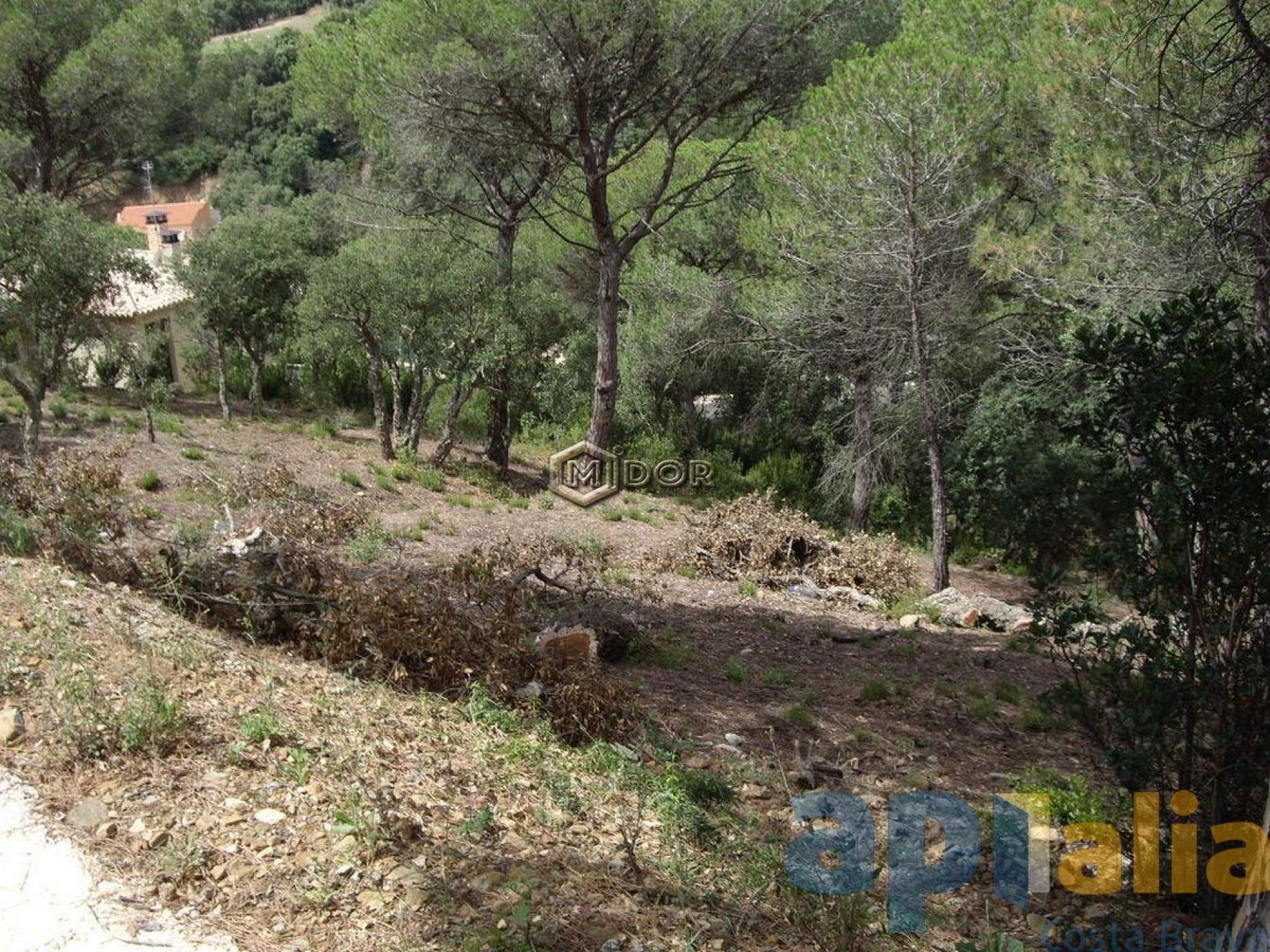 Parcel·la amb vistes a Les Gavarres