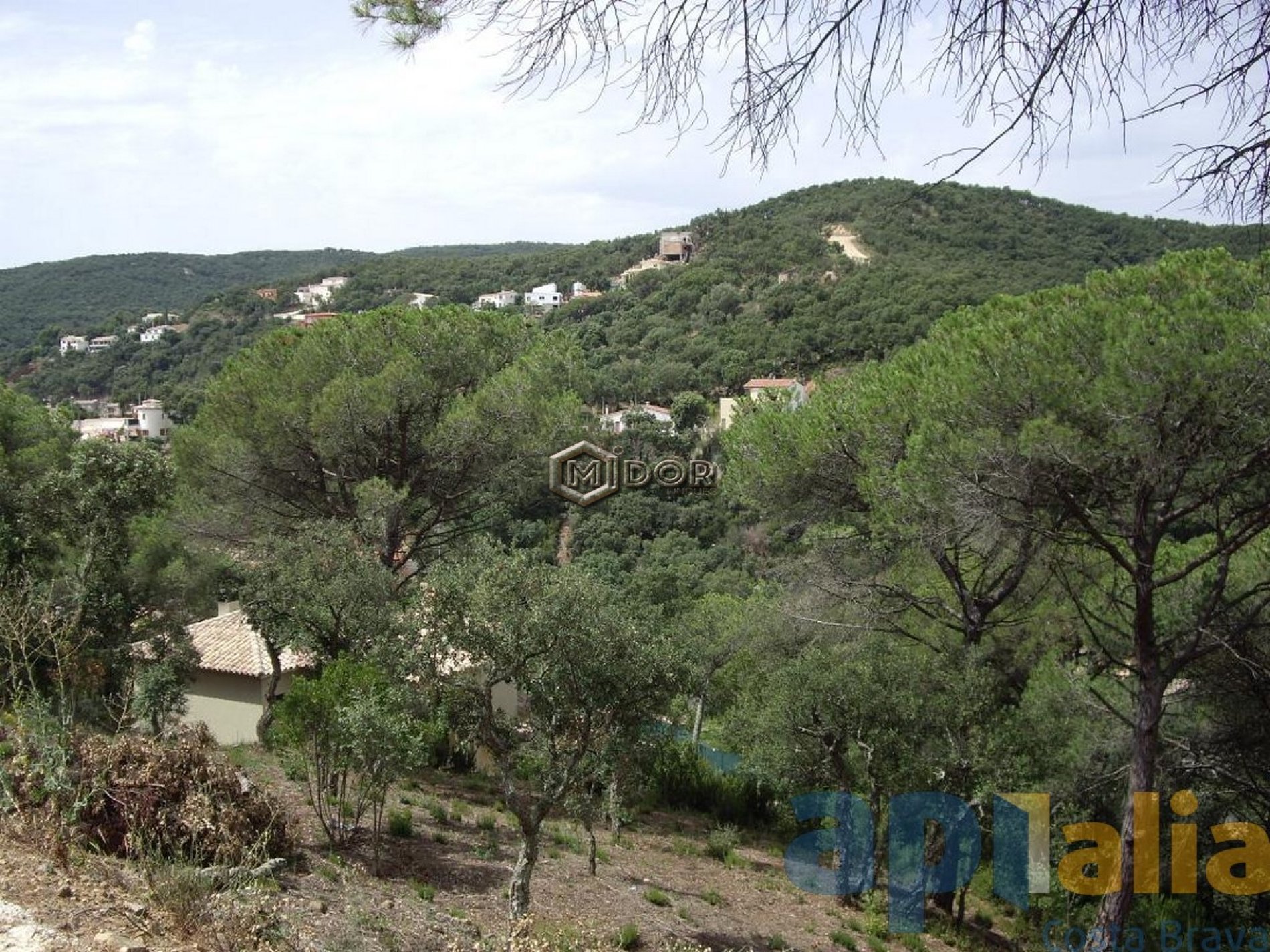 Parcel·la amb vistes a Les Gavarres