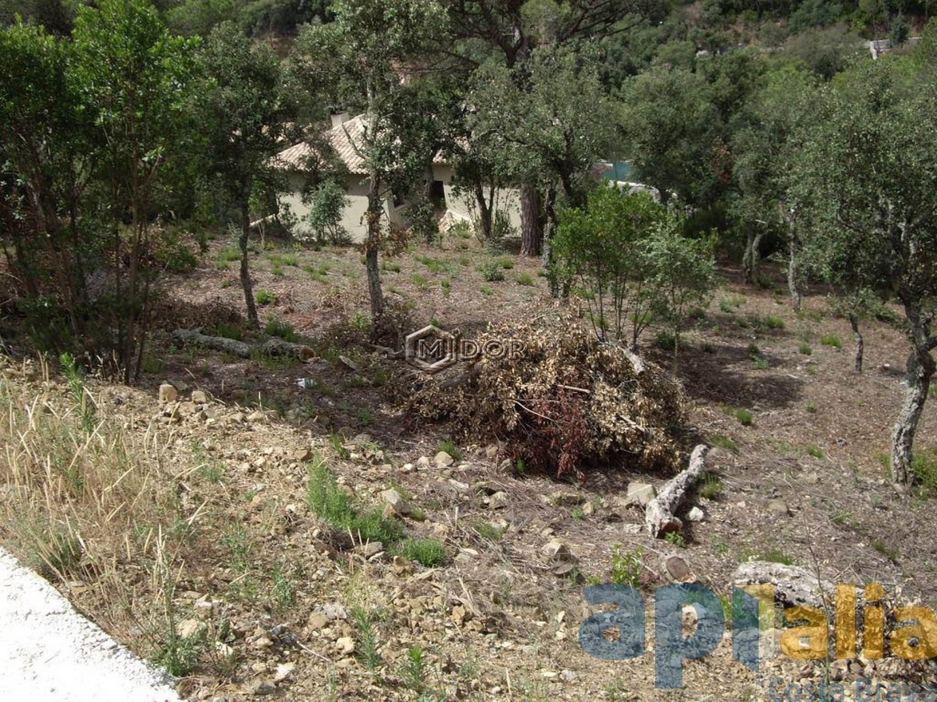 Parcel·la amb vistes a Les Gavarres