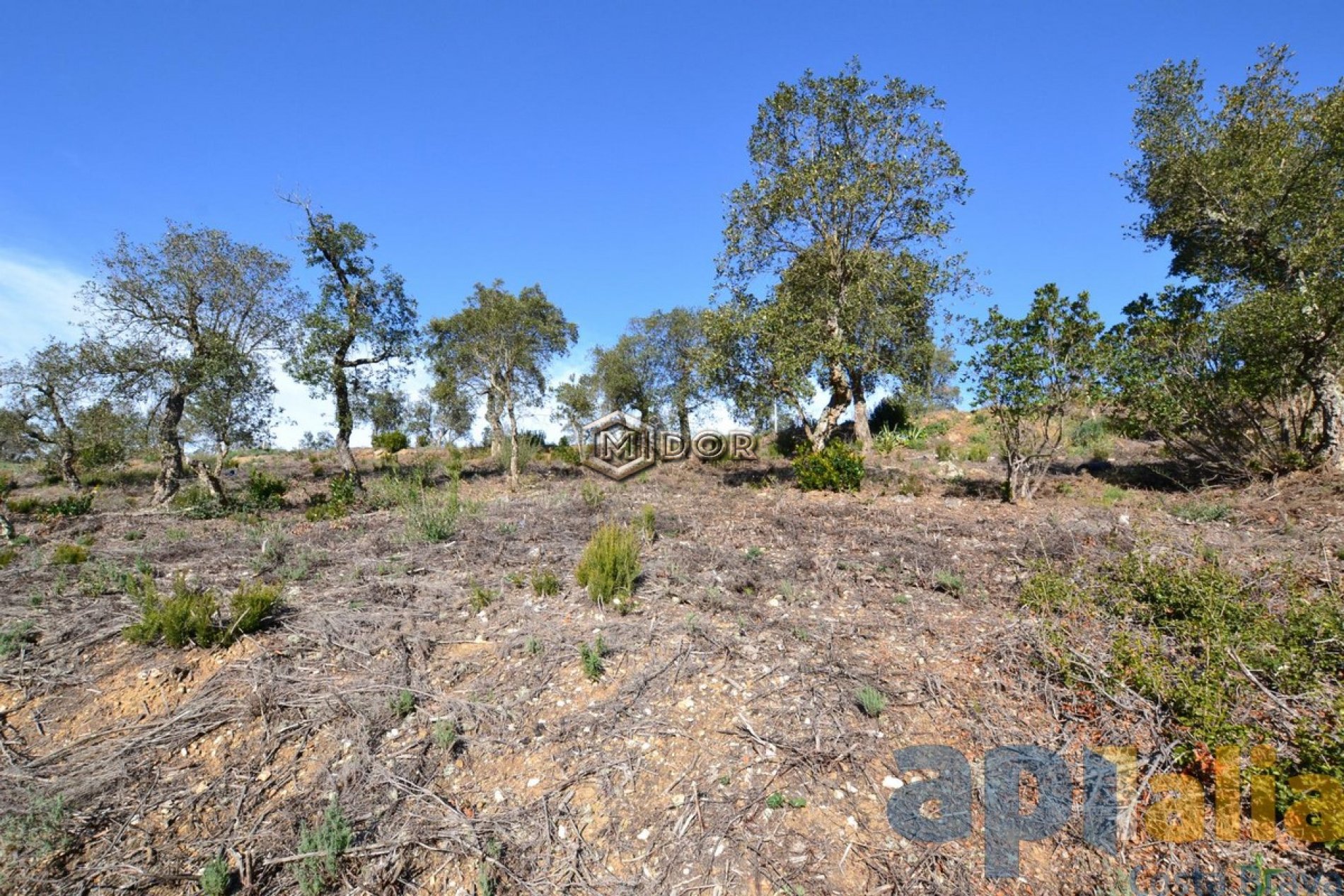 PARCEL-LA A RIO DE ORO (CALONGE)
