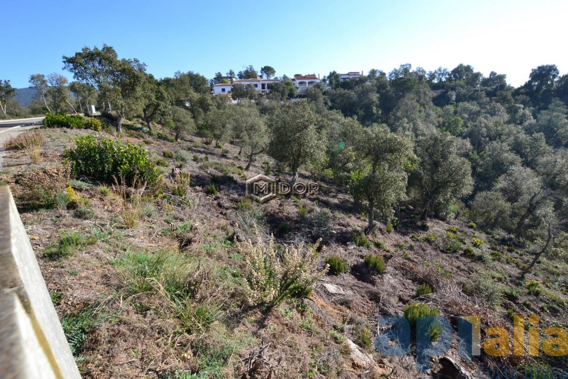PARCEL-LA A RIO DE ORO (CALONGE)