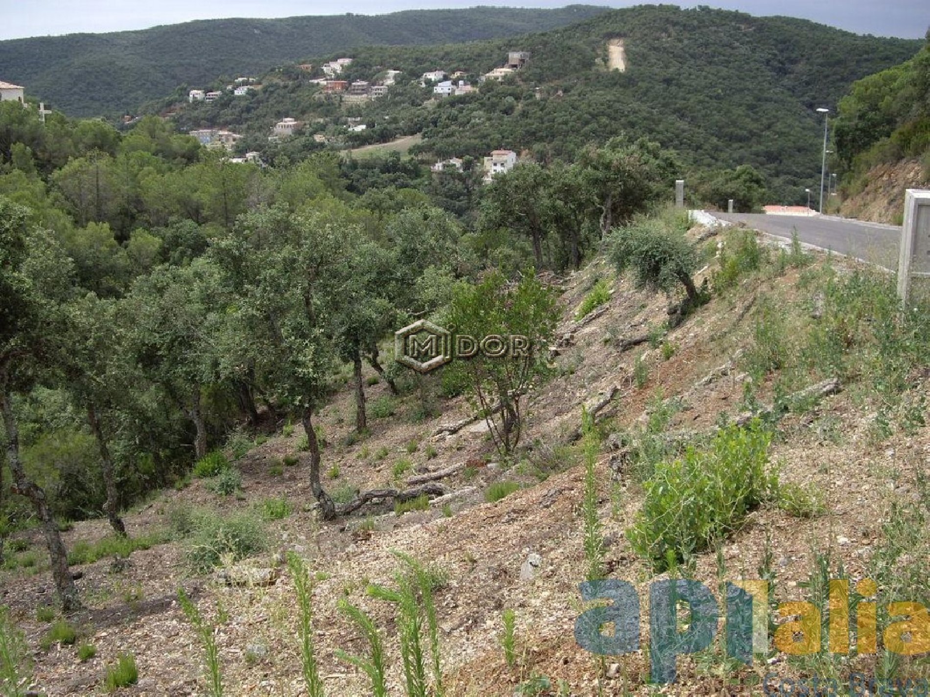 PARCEL-LA A RIO DE ORO (CALONGE)