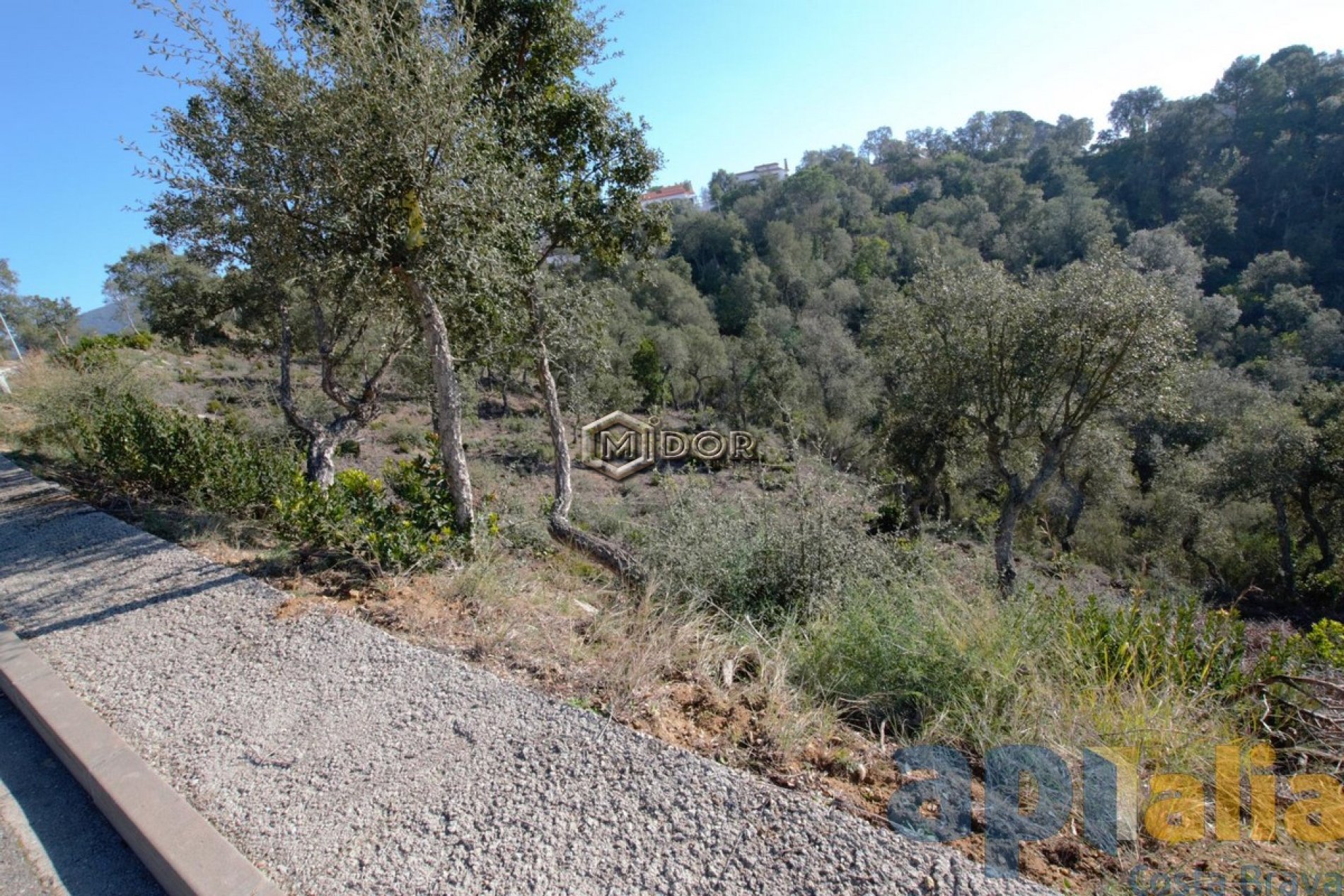 PARCEL-LA A RIO DE ORO (CALONGE)