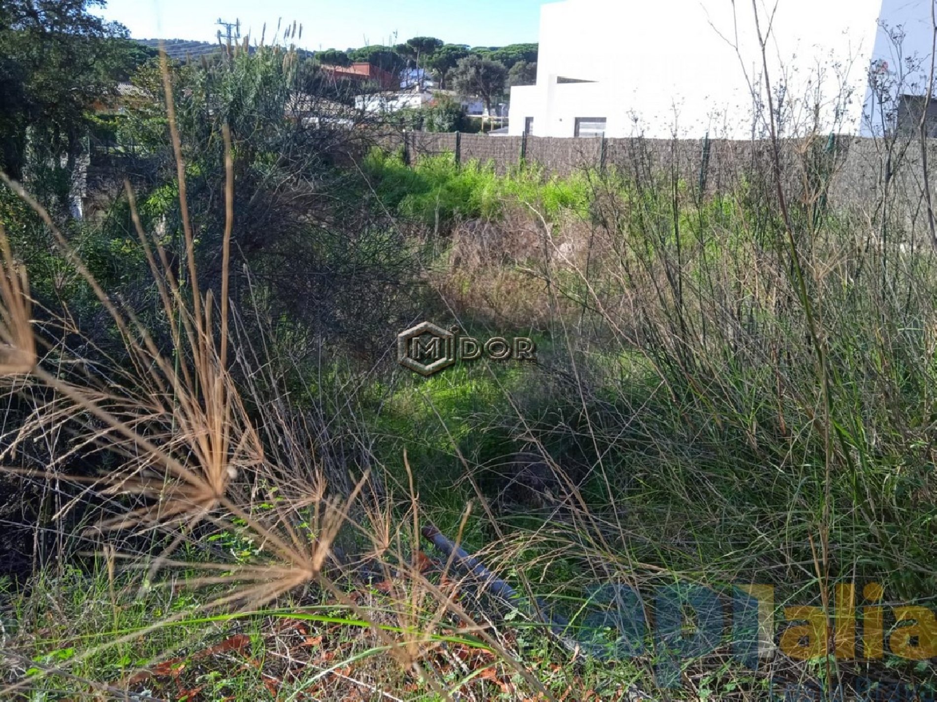 PARCEL-LA A MAS PALLI (CALONGE) COSTA BRAVA
