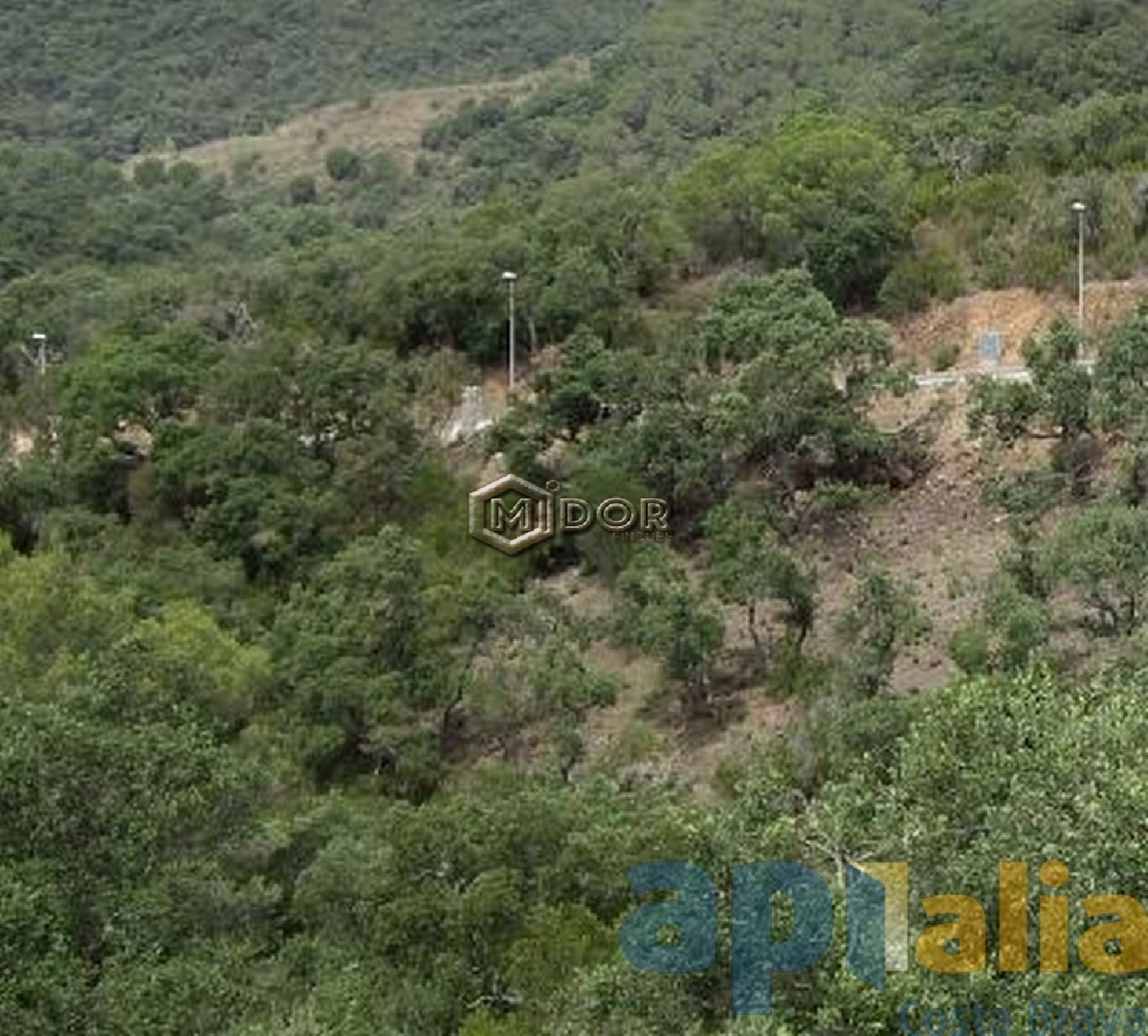 PARCEL.LA A RIO DE ORO (CALONGE)