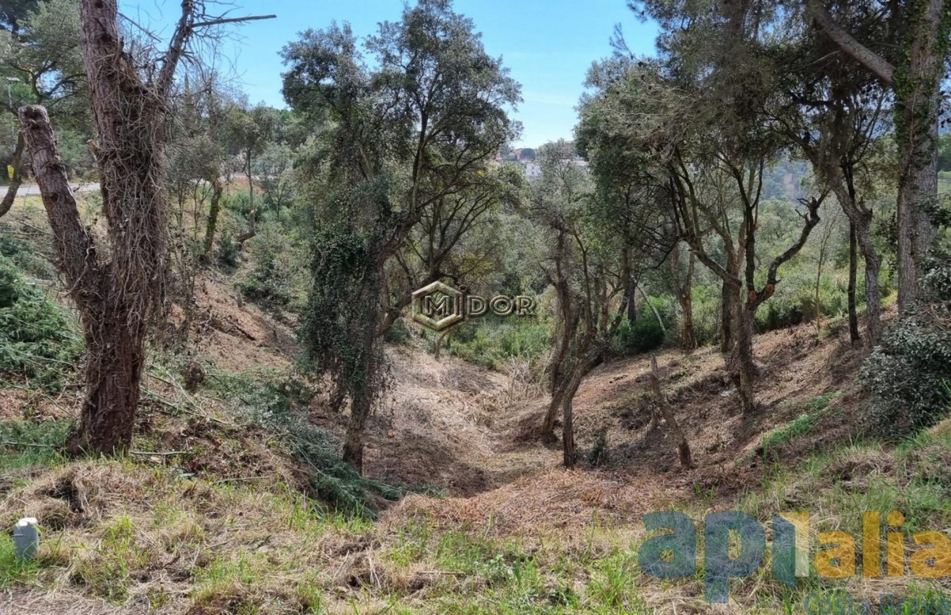 PARCEL.LA A RIO DE ORO (CALONGE)