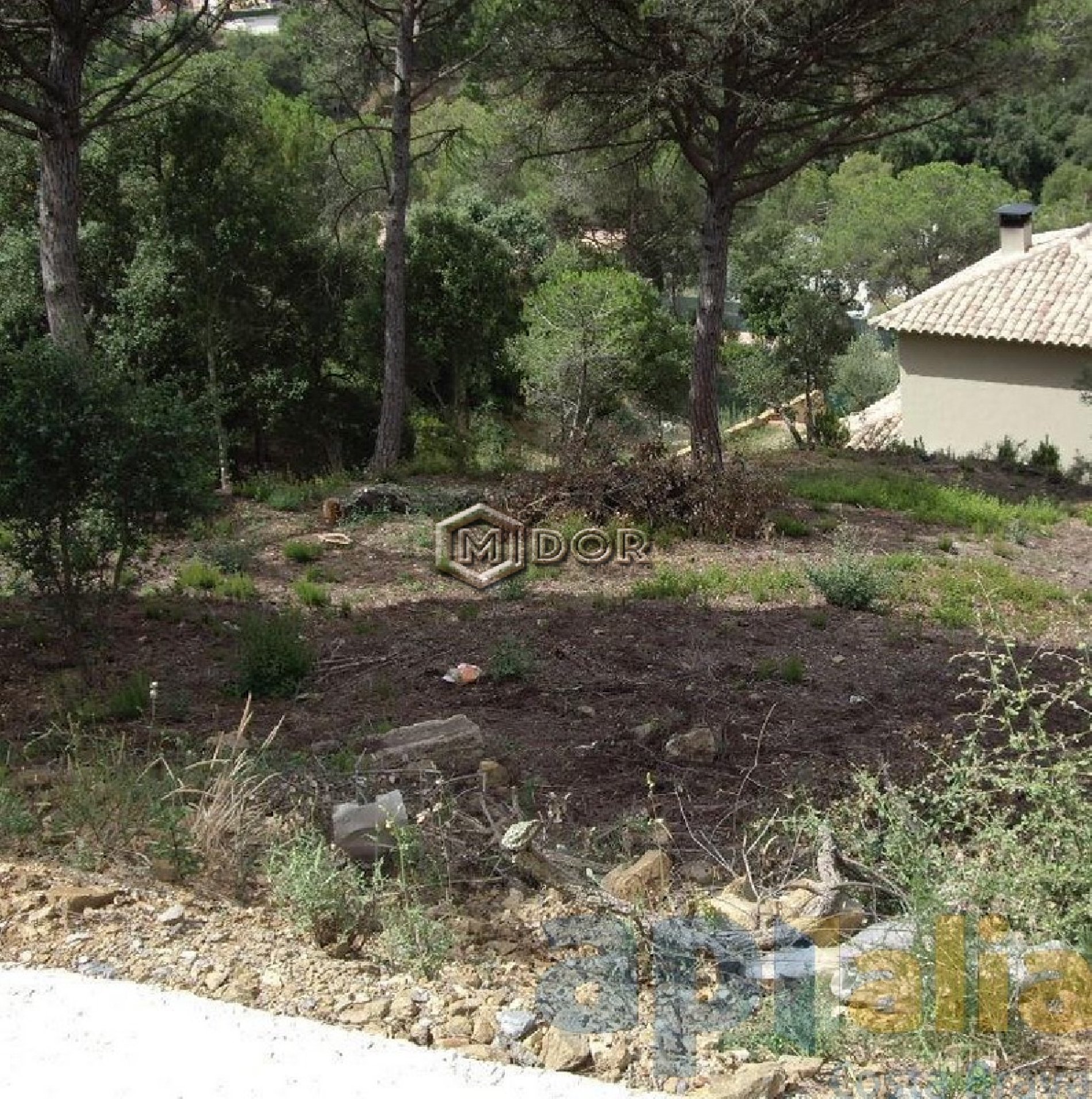 PARCEL-LA A RIO DE ORO (CALONGE)