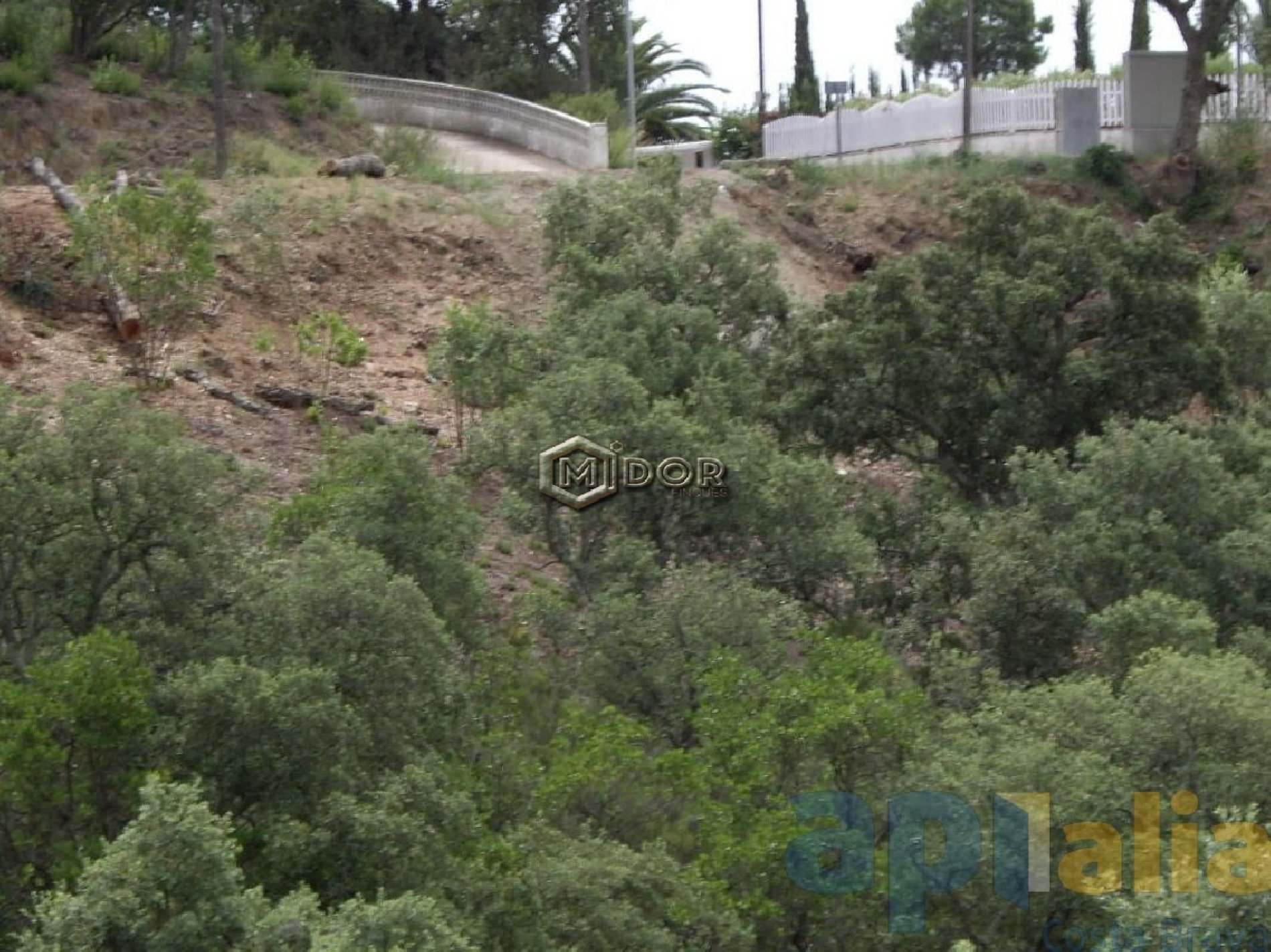 PARCEL-LA A RIO DE ORO (CALONGE)