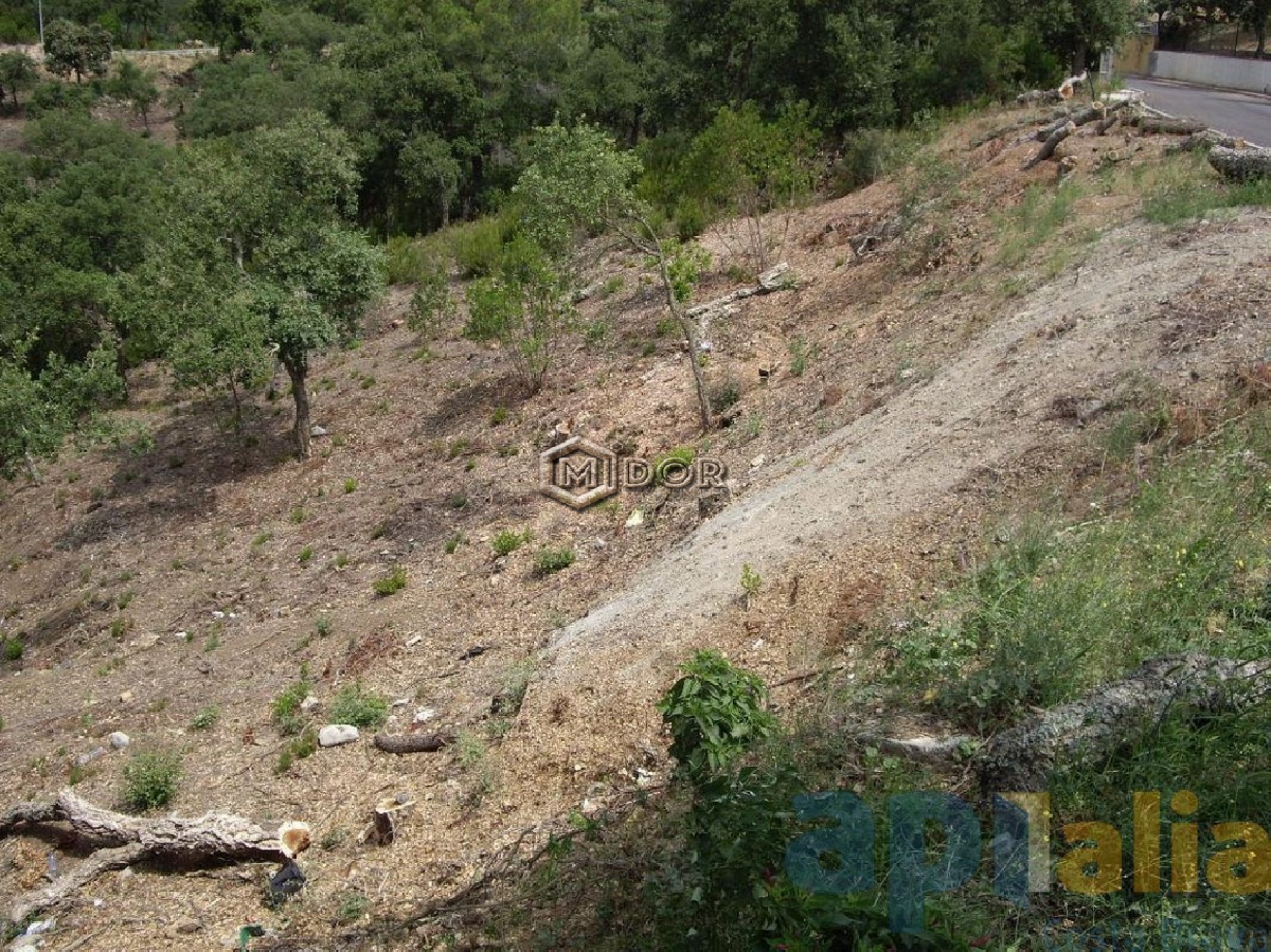 PARCEL-LA A RIO DE ORO (CALONGE)