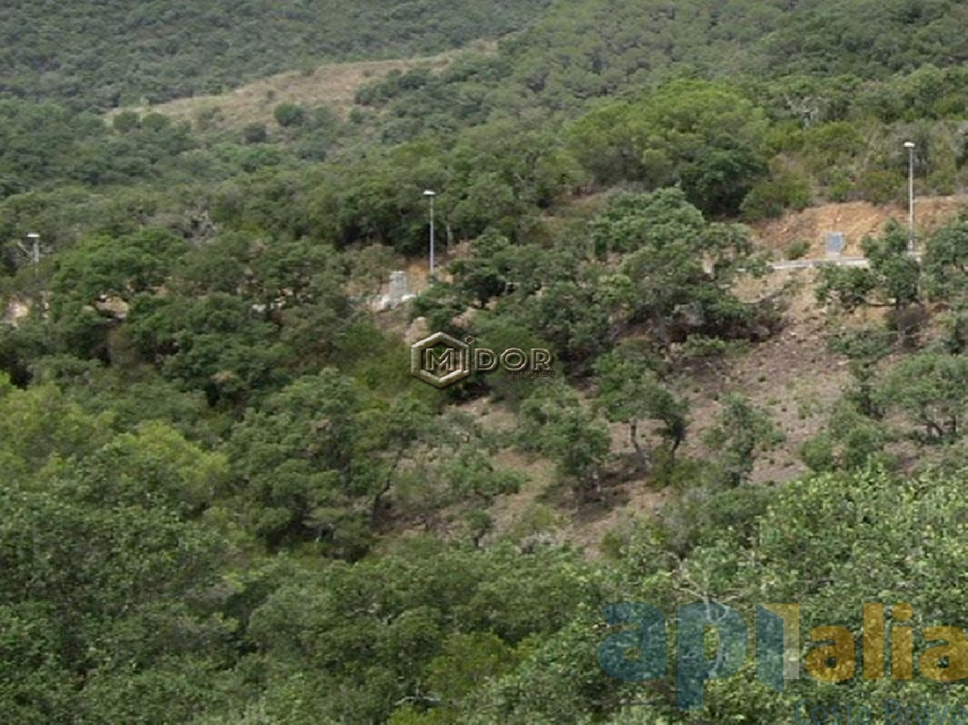 PARCEL-LA A RIO DE ORO (CALONGE)
