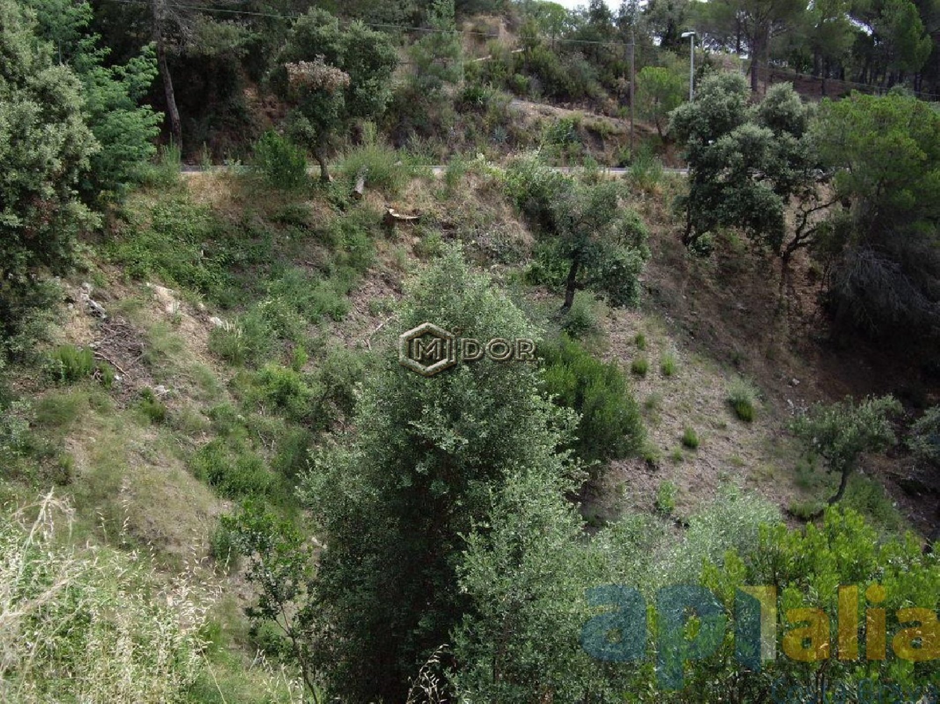 PARCEL-LA A RIO DE ORO (CALONGE)