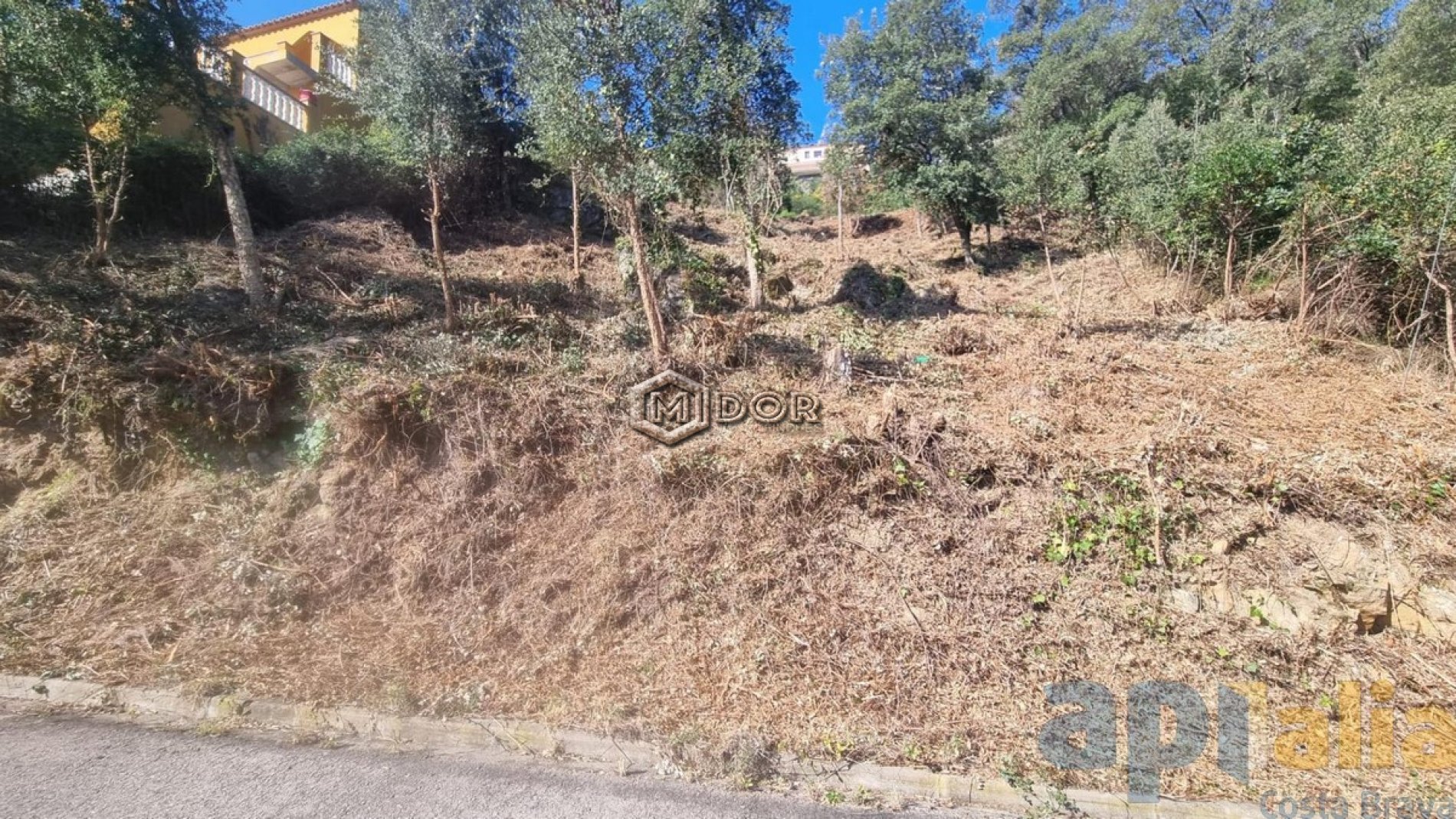 PARCEL-LA VISTES A MAR A RIO DE ORO (CALONGE)