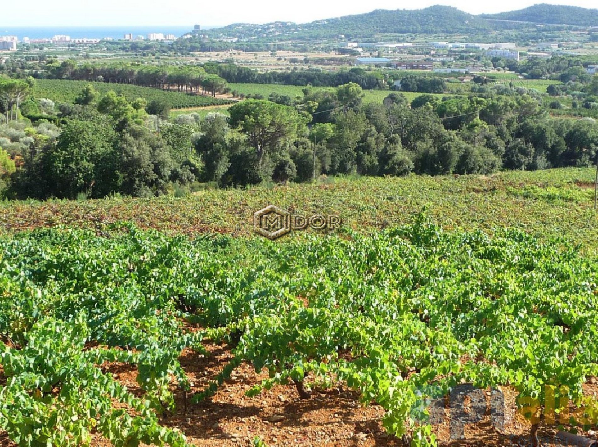 PARCEL-LA EN VENDA A MAS PERE (CALONGE)