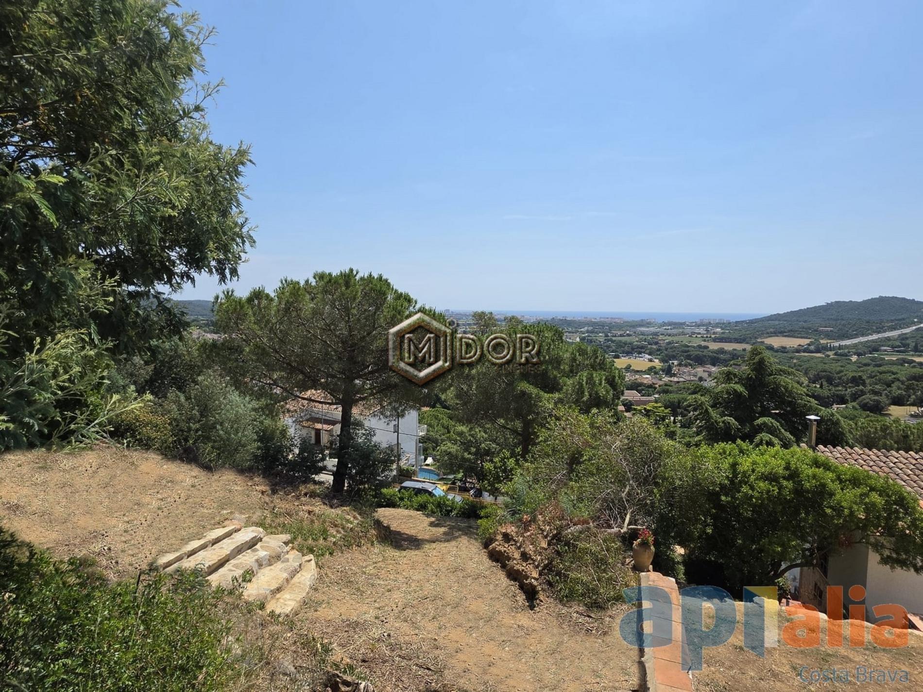 PLOT IN MAS AMBRÓS (CALONGE)