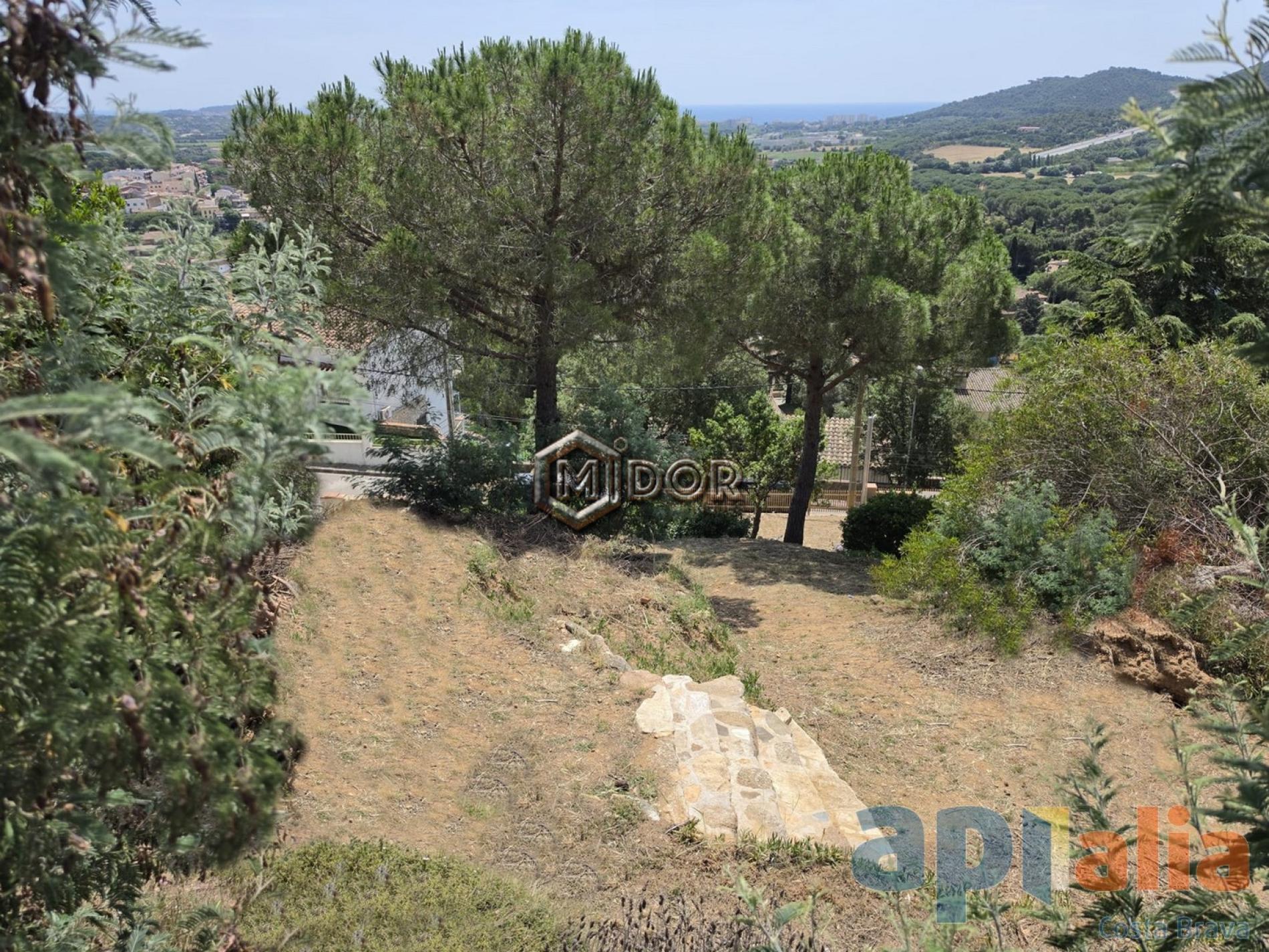 PLOT IN MAS AMBRÓS (CALONGE)