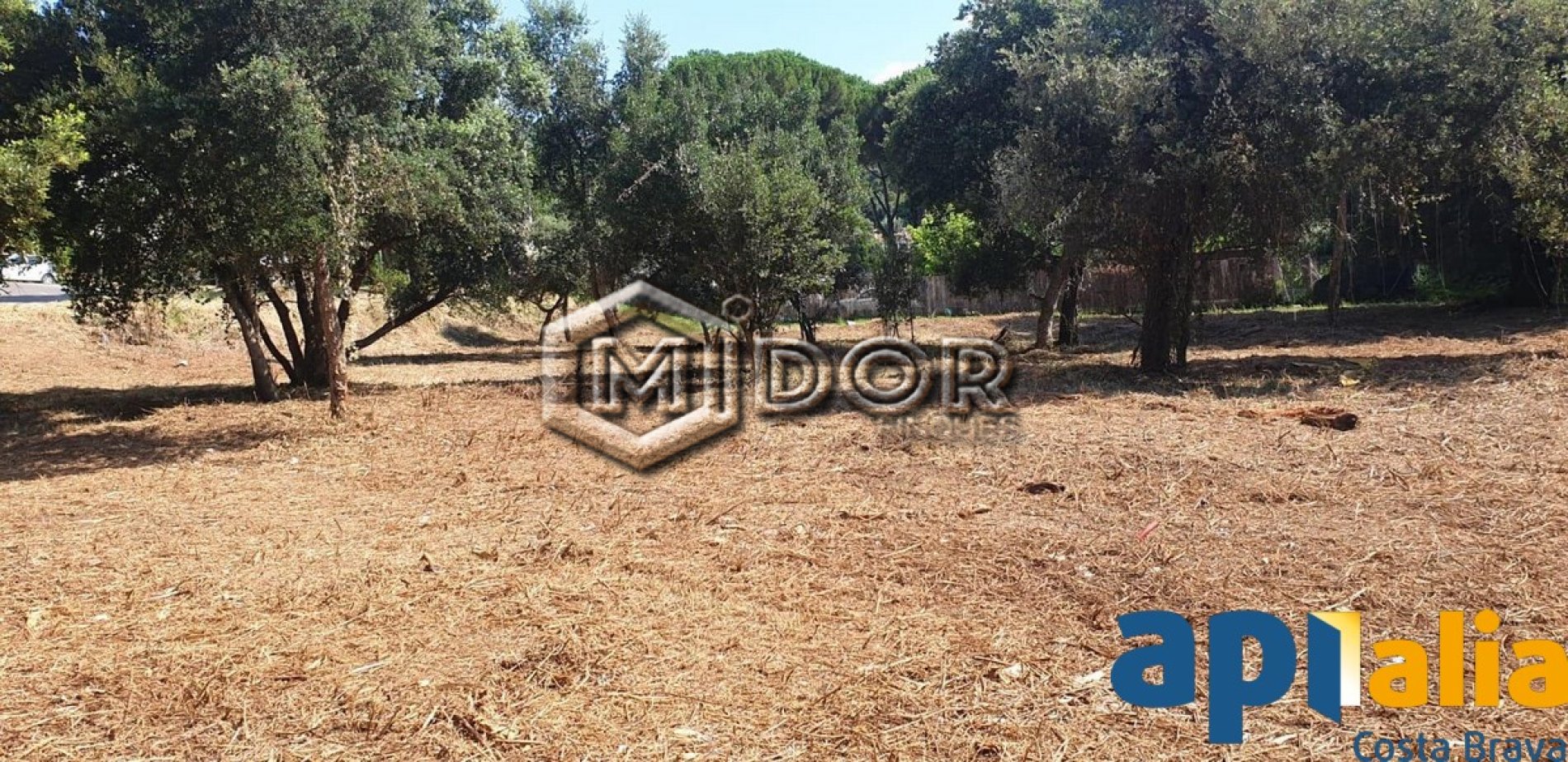 PARCEL.LA EN VENDA A RIO DE ORO - CALONGE