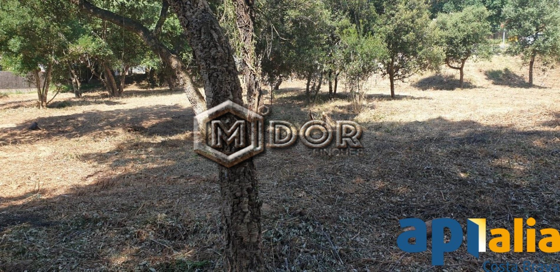 PARCEL.LA EN VENDA A RIO DE ORO - CALONGE