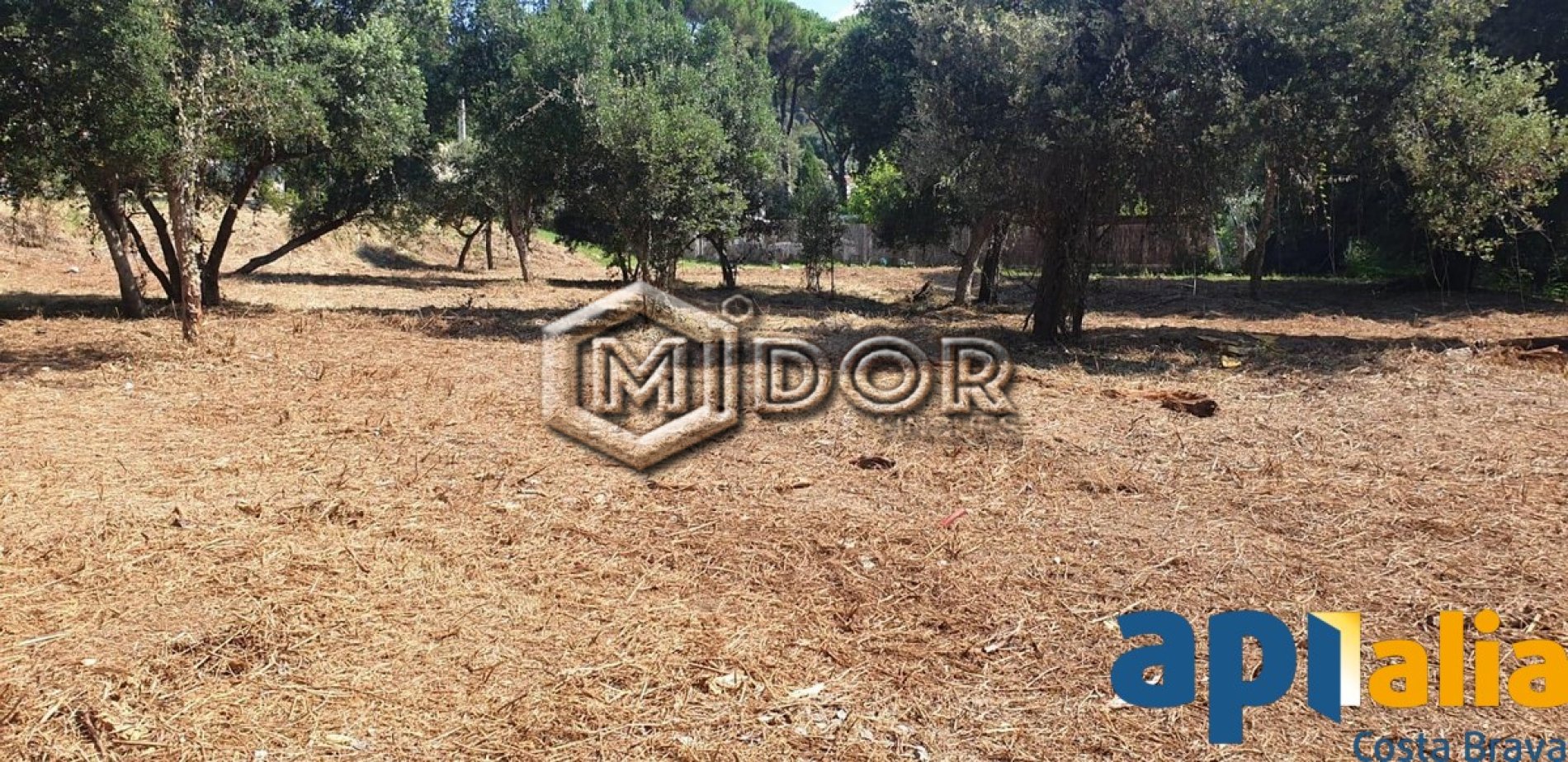 PARCEL.LA EN VENDA A RIO DE ORO - CALONGE