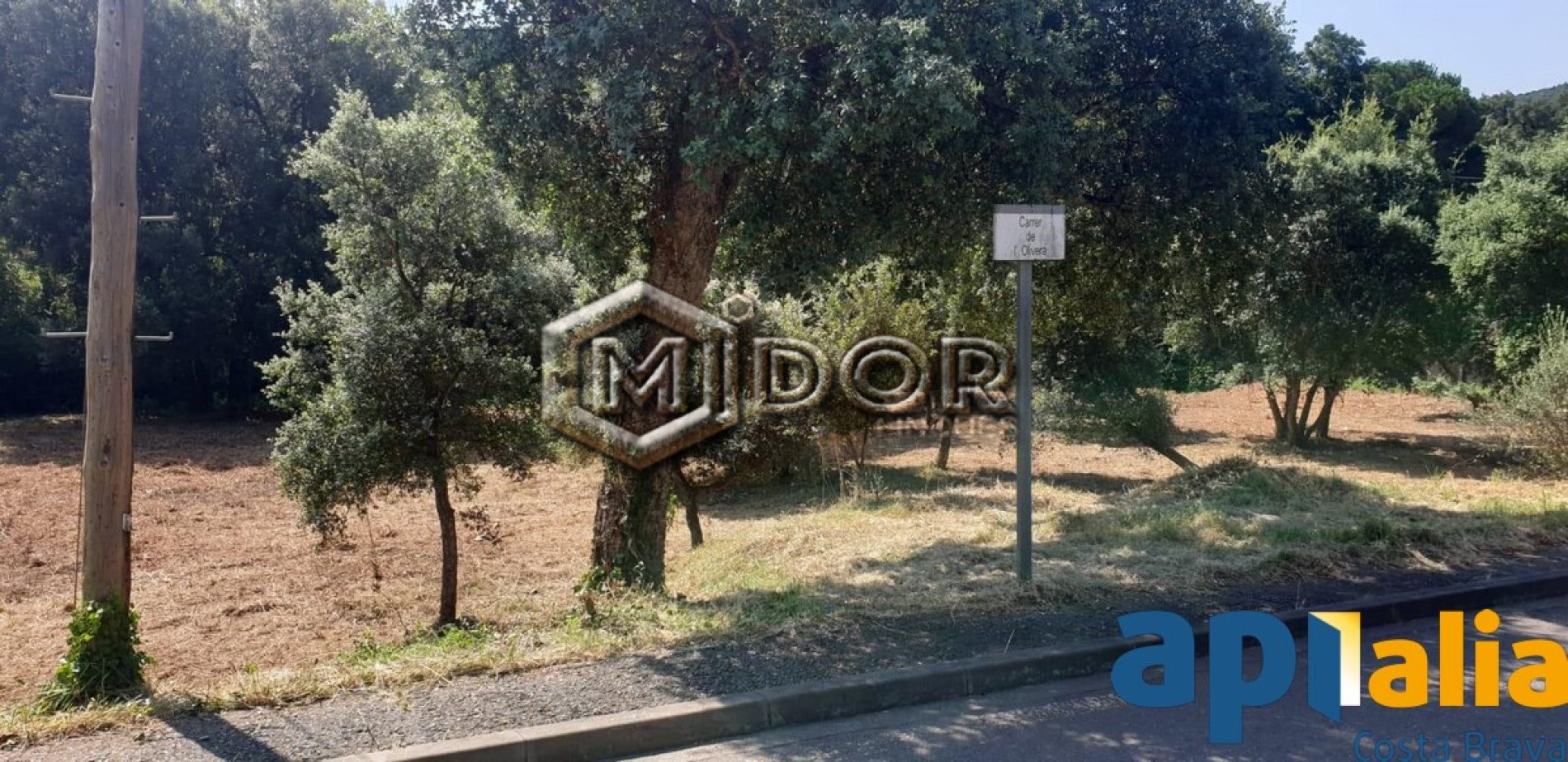 PARCEL.LA EN VENDA A RIO DE ORO - CALONGE