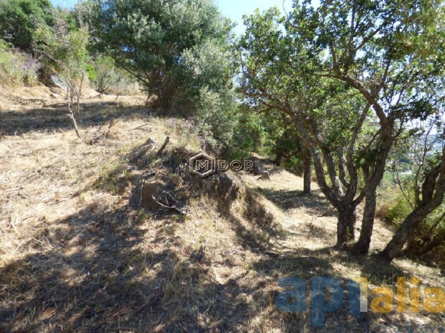 PARCEL-LA AMB VISTES A CALONGE A VESCOMTAT DE CABANYES