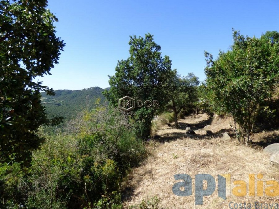 PARCEL-LA AMB VISTES A CALONGE A VESCOMTAT DE CABANYES