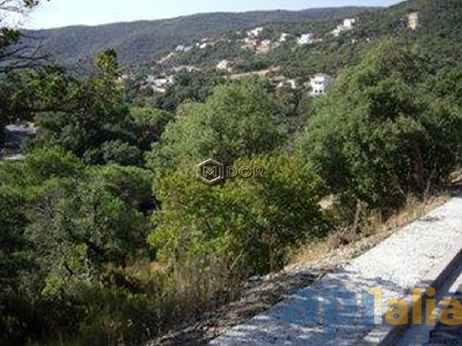 PARCELA EN URB. RIO DE ORO (CALONGE)
