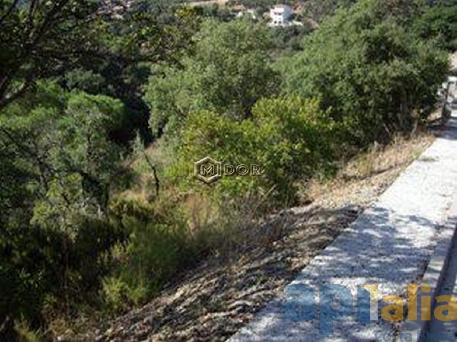 PARCELA EN URB. RIO DE ORO (CALONGE)