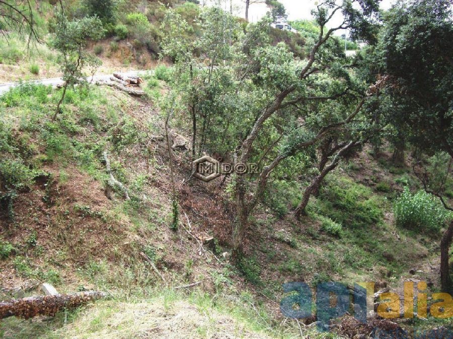PARCEL.LA A URB. RIO DE ORO (CALONGE)