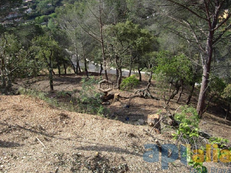 PARCEL.LA A URB. RIO DE ORO (CALONGE)
