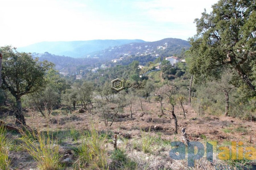 PARCEL.LA A URB. RIO DE ORO (CALONGE)