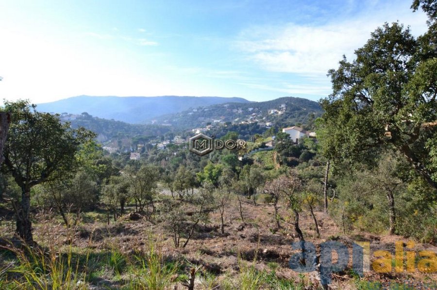 PARCEL.LA A URB. RIO DE ORO (CALONGE)