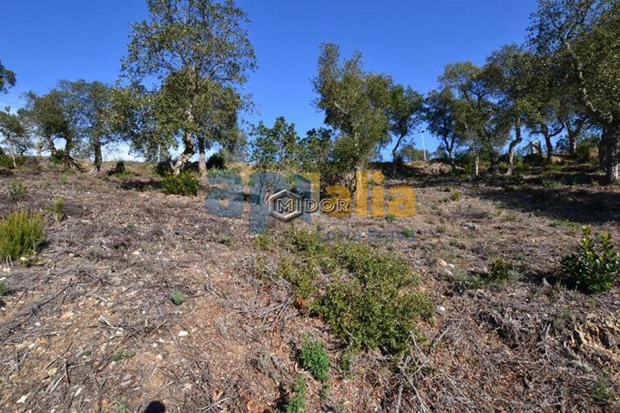 PARCEL.LA A URB. RIO DE ORO (CALONGE)
