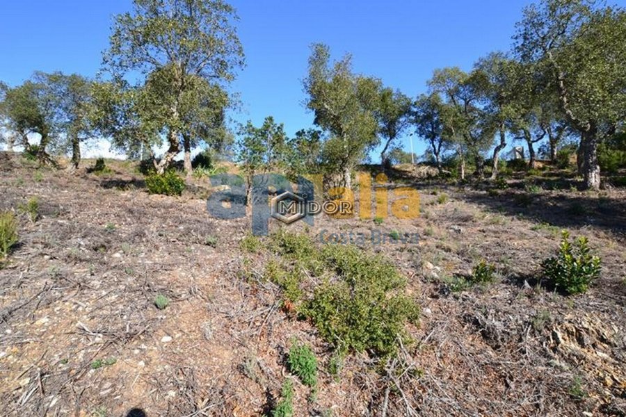 PARCEL.LA A URB. RIO DE ORO (CALONGE)