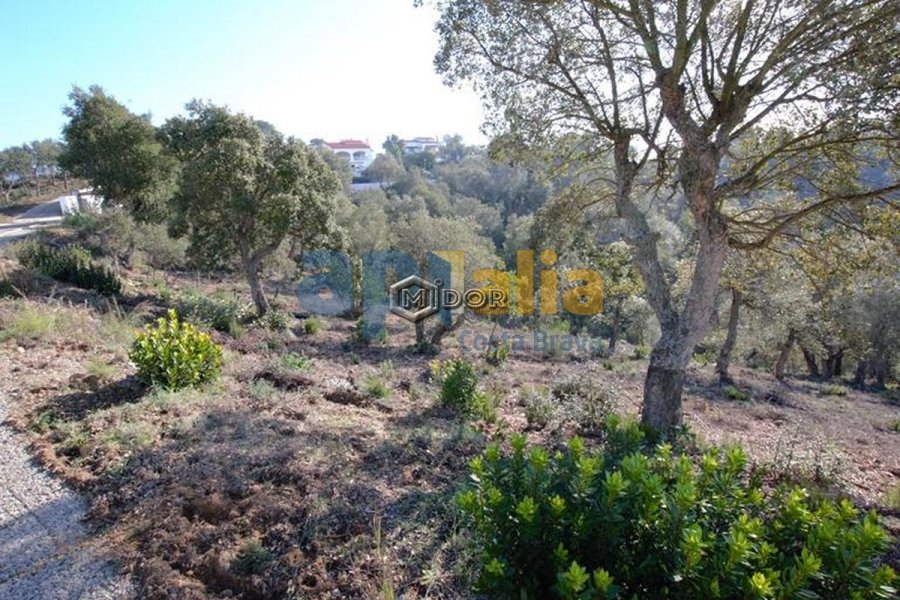 PARCEL.LA A URB. RIO DE ORO (CALONGE)