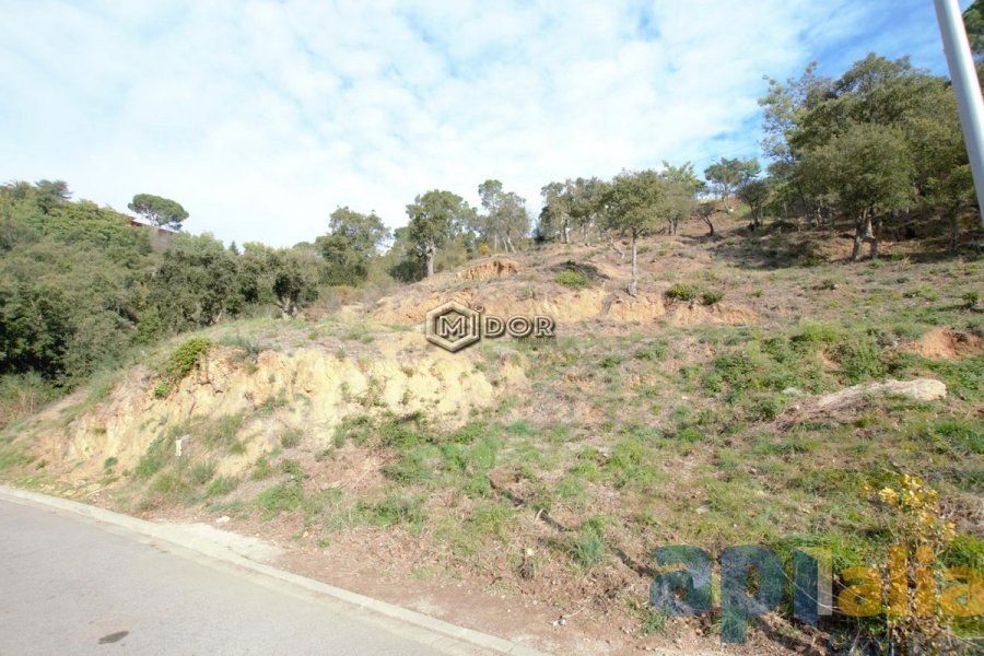PARCEL.LA A URB. RIO DE ORO (CALONGE)