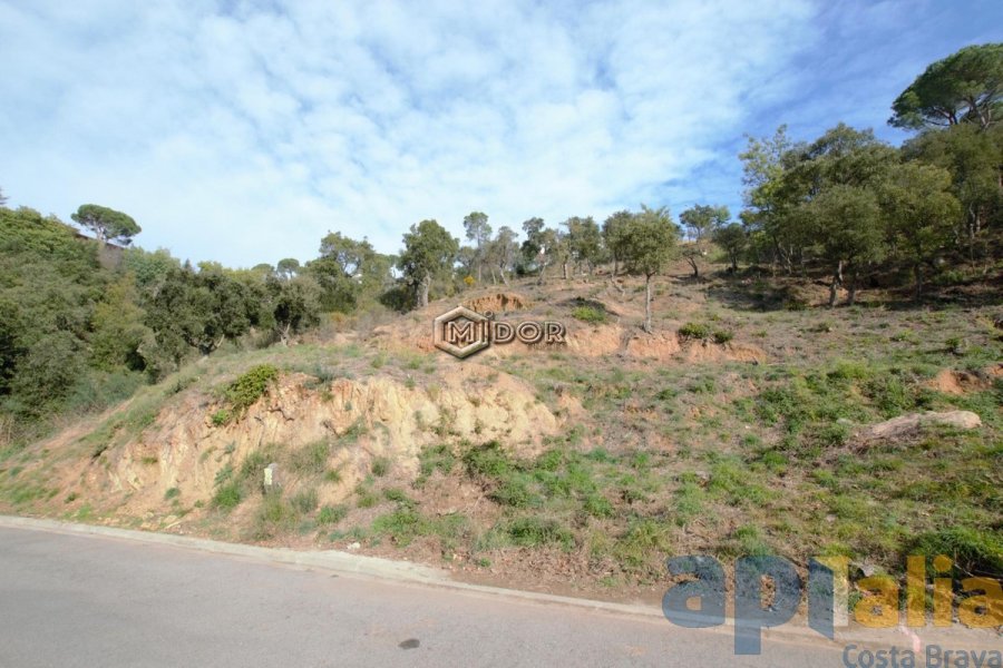 PARCEL.LA A URB. RIO DE ORO (CALONGE)