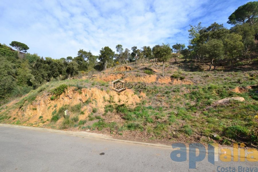 PARCEL.LA A URB. RIO DE ORO (CALONGE)