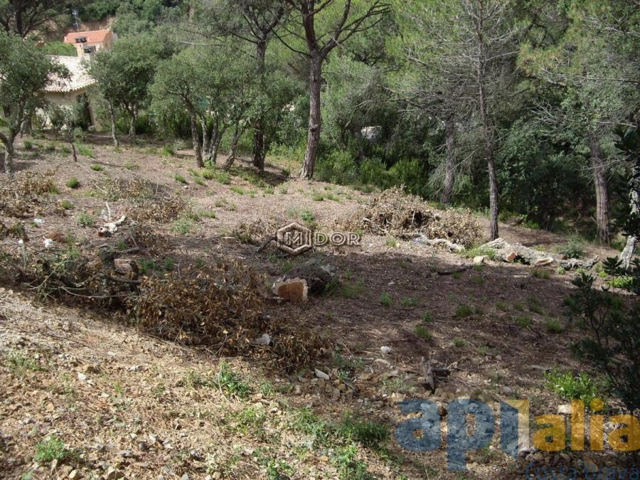 Parcel·la amb vistes a Les Gavarres