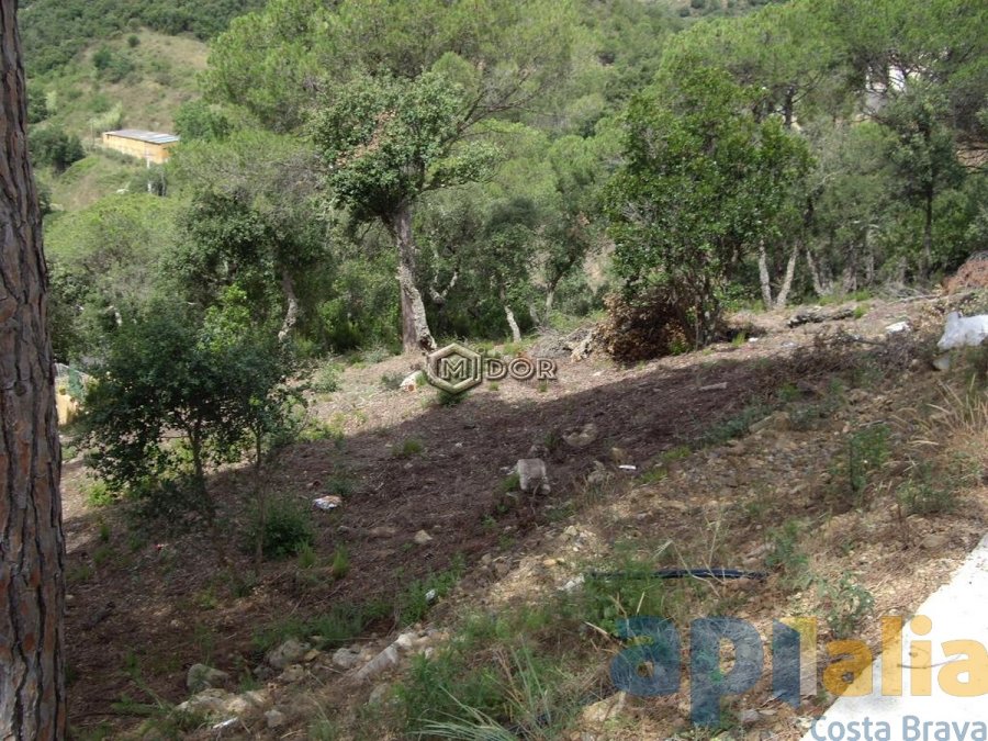 Parcel·la amb vistes a Les Gavarres