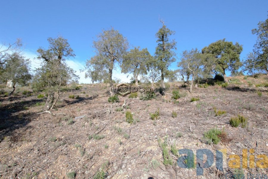 PARCEL-LA A RIO DE ORO (CALONGE)
