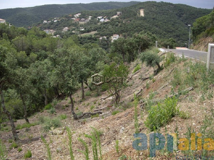PARCEL-LA A RIO DE ORO (CALONGE)