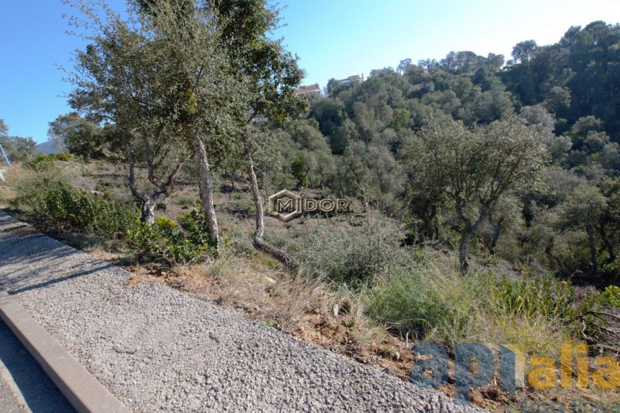 PARCEL-LA A RIO DE ORO (CALONGE)